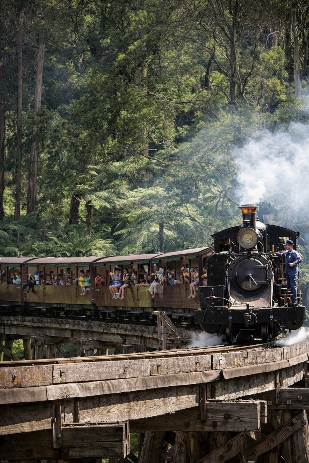 School Holidays In The Hills – By Our Very Own Frankie